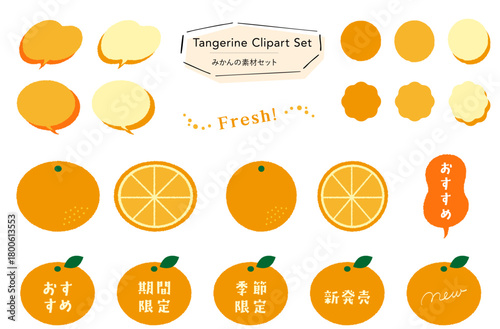 みかんの素材セット_あしらい＋イラスト,フレーバー,期間限定,季節限定,おすすめテキスト付き｜Mikan Illustration Set – Ornaments, Flavor Icons, Limited-Time Seasonal Text