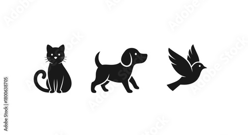 Black silhouette of cat, dog and bird