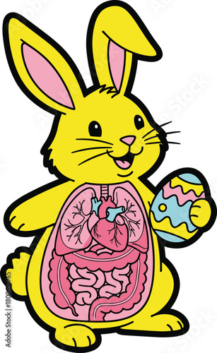 Cartoon rabbit anatomy with Easter egg, cute bunny illustration, internal organs visible, educational animal diagram, children biology learning image
