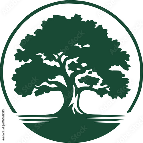 oak tree logo badge with trunk roots round symbol