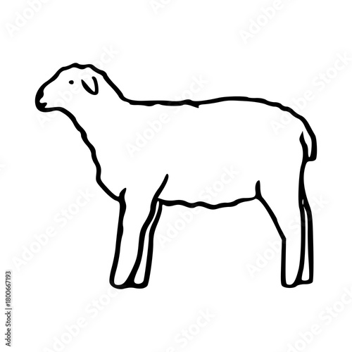 sheep outline vector illustration