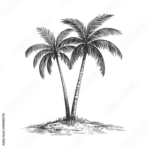 Two palm trees on a small island in a hand drawn sketch style