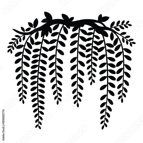 Silhouette of weeping willow branches with cascading leaves