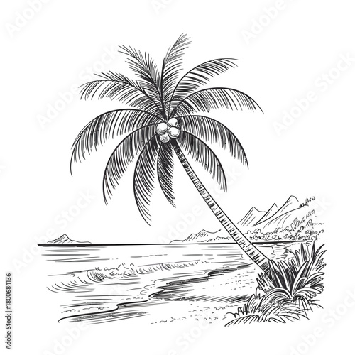 Detailed black and white sketch of a leaning palm tree on a tropical beach