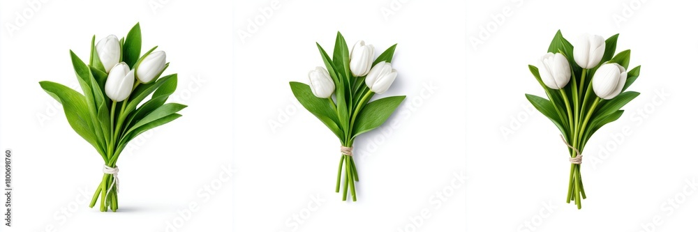 Fototapeta premium Elegant White Tulip Bouquets Collection Isolated on White