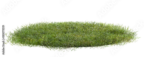 Green grass on transparent background 3d rendering png