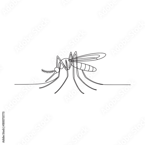 Detailed line drawing of a mosquito insect