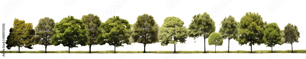 Fototapeta premium Lush Green Tree Line Isolated on White for Landscape & Design Elements on transparent background png
