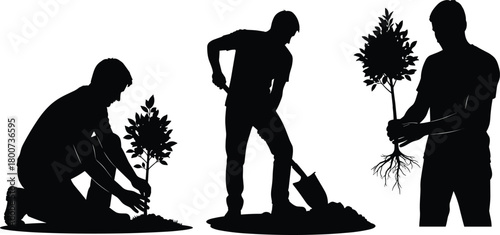 Tree planting process, environmental care, silhouette illustration, digging, planting, holding sapling, nature conservation, eco action, black vector, growth