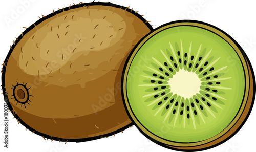 Fresh Kiwi Fruit Whole and Sliced Healthy Food Illustration