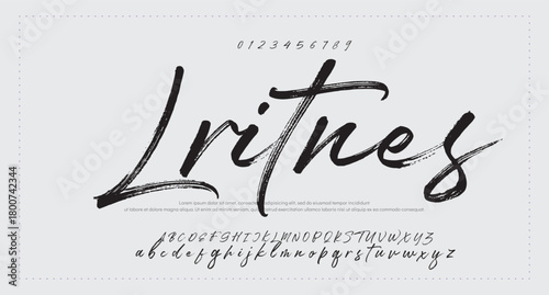 Signature Font Calligraphy Monoline Script Brush Font Type Font lettering handwritten