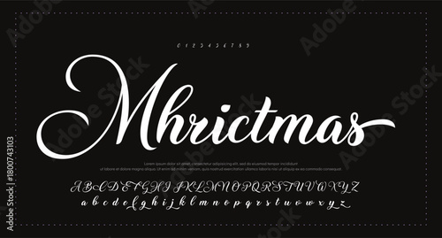 signature Font Calligraphy Logotype Script Brush Font Type Font lettering handwritten