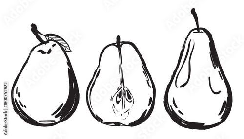 Minimalist botanical art showcasing seeds and skin of pears