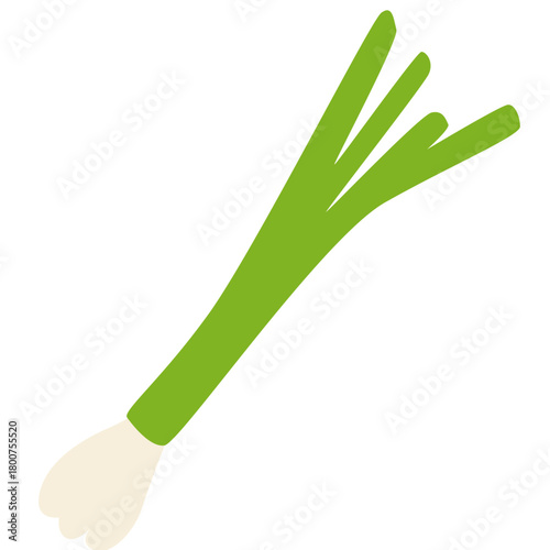 A green onion illustrated in clean flat style, highlighting aromatic vegetables, organic produce, fresh ingredients, natural food elements, and healthy garden-grown nutrition.