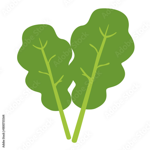 A spinach bunch illustrated in minimal flat style, symbolizing leafy greens, organic produce, natural ingredients, healthy food, nutritious vegetables, and garden harvest elements.