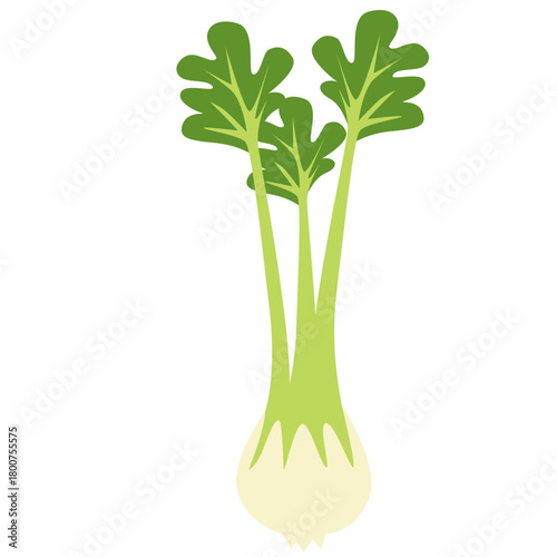 A green parsley illustration in simple flat design, representing fresh herbs, organic produce, natural ingredients, healthy cooking, and aromatic plant elements for culinary use.