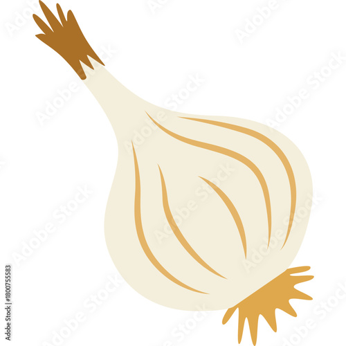 A garlic bulb illustrated in clean flat style, highlighting aromatic cooking ingredients, natural vegetables, organic produce, healthy food, and nutritious culinary elements.