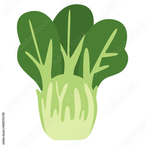 A leafy bok choy illustration in simple flat design, emphasizing healthy cooking, natural vegetables, organic produce, fresh garden plants, and nutritious food elements.