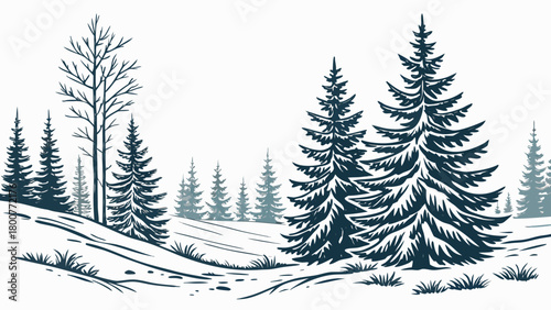 Winter landscape with coniferous trees and snow covered ground in a monochrome drawing style