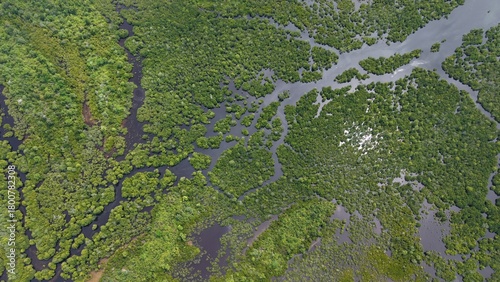 aerial view of the sea