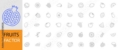 Vector fruit icon set with outlined tropical and organic fruit symbols, minimal linear style pomegranate logo, healthy food illustration pack for branding, packaging, labels, and UI design