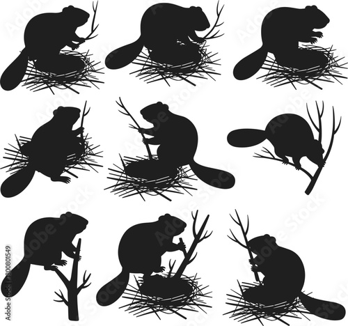 Beaver silhouette vector set with stick nests, black isolated animal poses, nature builder concept, wildlife behavior illustration, ecosystem engineer artwork design