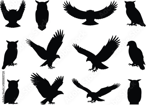 Bird of prey silhouettes, eagle and owl poses, flying and perched vector set, wildlife icon pack, black avian shape illustration, raptor design collection