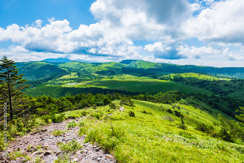 Obraz premium 鷲ヶ峰 トレッキング 八島ヶ原湿原