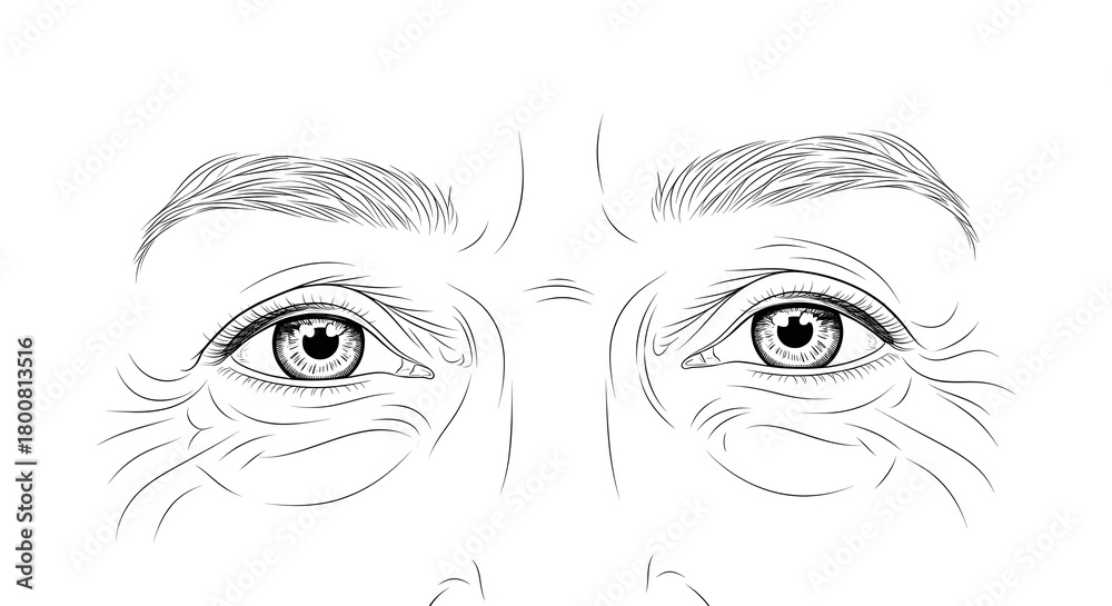 Obraz premium Detailed Line Drawing of Elderly Woman's Eyes with Wrinkles in Black and White