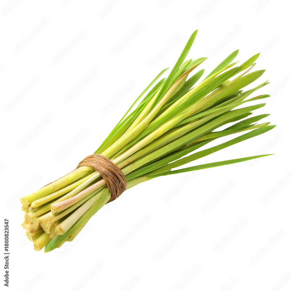 Fototapeta premium Fresh Bunch of Lemongrass Tied with Twine on Black Background herb spice, Png Transparent, Isolated on White