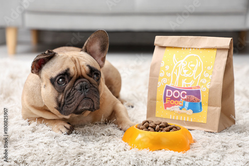 Cute French bulldog lying n...