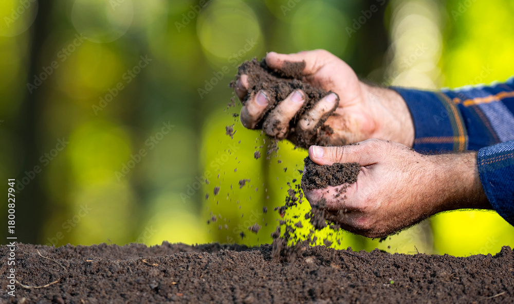 Fototapeta premium Farmers hand holding fertile soil close-up. Farmer checking soil quality on farm. Farmer pouring compost. Agronomist farmer examining earth fertility. Hands of farmer with fertilizer. Farming concept.