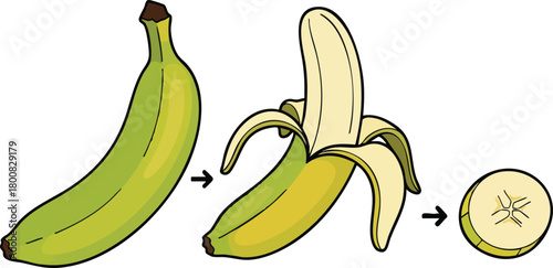 Green banana peels open to reveal ripe fruit and a slice on a white background
