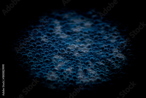 Water bubbles on a dark background,blue abstract background.