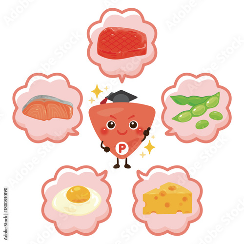 様々なタンパク質を多く含む食品とタンパク質のキャラクターイラストセット／Character Illustration Set Featuring Protein - Rich Foods and Protein Molecules