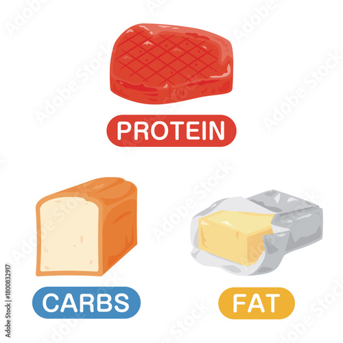 三大栄養素の食品イラストセット　英語／Macronutrient Illustration Set with English Text - Carbohydrates, Protein, and Fat