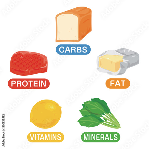 五大栄養素の食品イラストセット　英語／Illustration Set of the Five Essential Nutrients - Carbohydrates, Protein, Fat, Vitamins, and Minerals (English Text)
