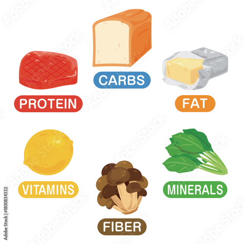 六大栄養素の食品イラストセット　英語／Illustration Set of Six Essential Nutrients - Carbohydrates, Protein, Fat, Vitamins, Minerals, and Dietary Fiber (English Text)