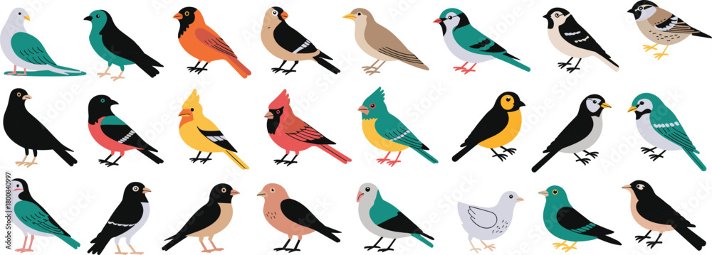 Fototapeta premium Colorful cartoon birds in various poses and species, vibrant feathered wildlife vector set for nature, education, decor, animal identification, and seasonal themes
