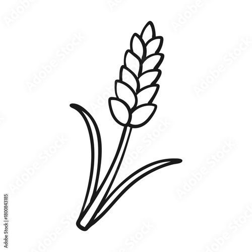 Simple Wheat Line Art