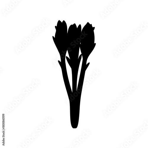 vector silhouette of a flower