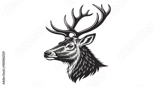 Majestic stag with impressive antlers, a symbol of strength and nature's beauty, perfect for logos, emblems, or rustic designs, originally vector