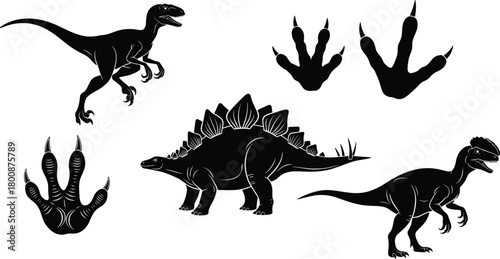 Dinosaur silhouettes and footprints set featuring Velociraptor, Stegosaurus, Pachycephalosaurus in dynamic poses with prehistoric track marks vector illustration
