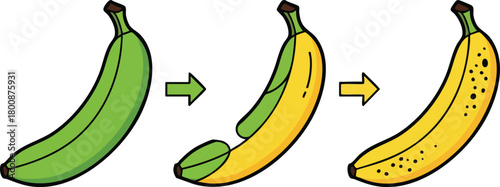 Green Banana Ripening To Yellow With Brown Spots