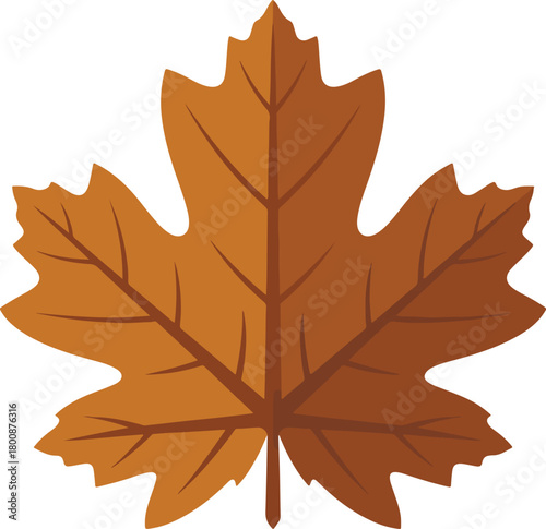 Autumn maple leaf vector image in warm brown tones representing the fall season and natural beauty.