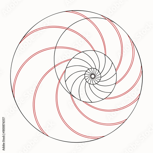 Illustration of the golden ratio spiral, a mathematical concept found in nature and art, representing harmony and proportion isolated on
