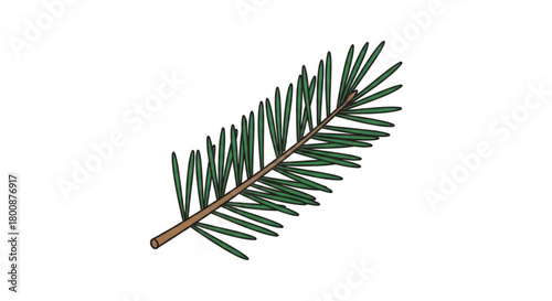 A single fir branch with green needles isolated on, perfect for christmas decorations, winter holidays, or naturethemed designs