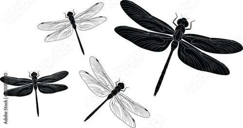 Dragonfly vector set with silhouette and outline styles showing wing details and flying poses for nature, insect, and wildlife design themes