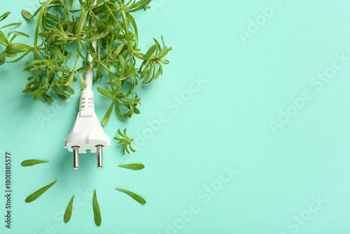 Electrical plug with leaves...