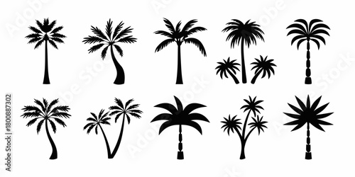 Collection of diverse black palm tree silhouettes on a white background for design elements